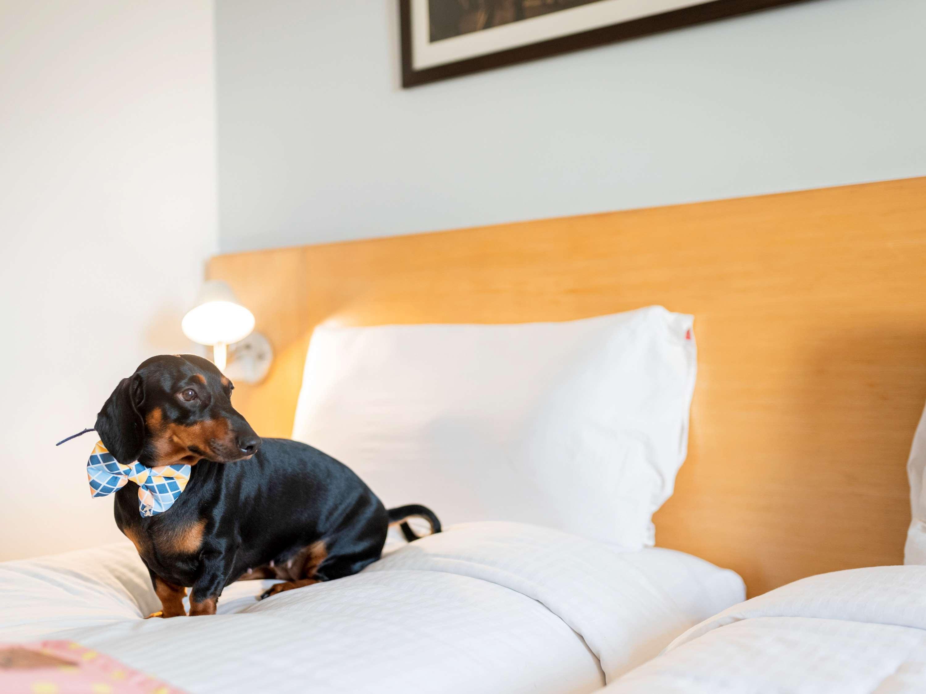 Отель Ibis Chennai Omr - An Accor Brand Экстерьер фото