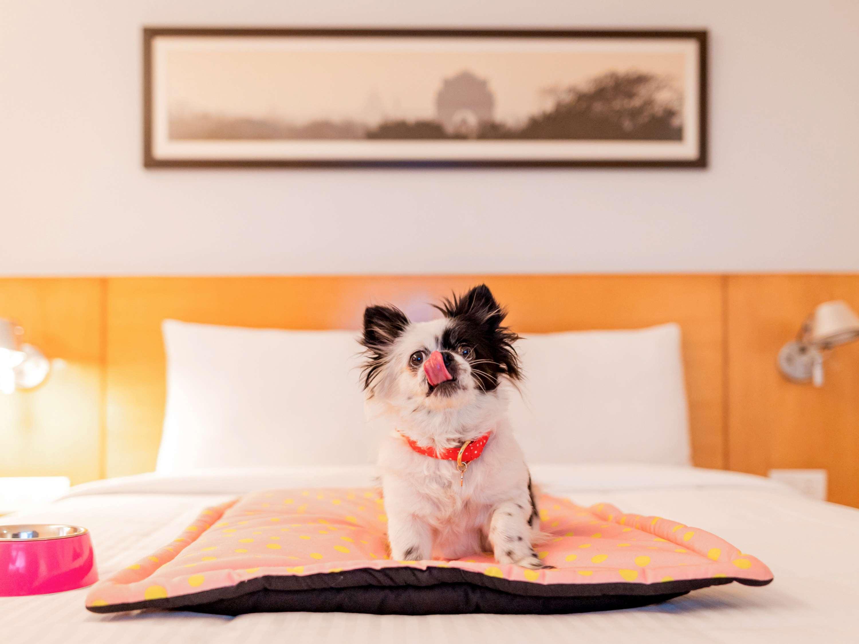 Отель Ibis Chennai Omr - An Accor Brand Экстерьер фото